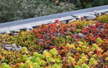 the cost of Holes Hole green roof installation