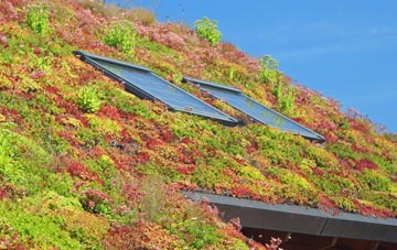 Holes Hole living roof systems