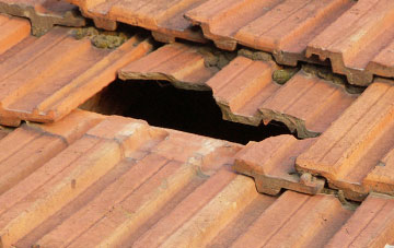 roof repair Holes Hole, Devon