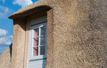 Holes Hole thatch roof disadvantages